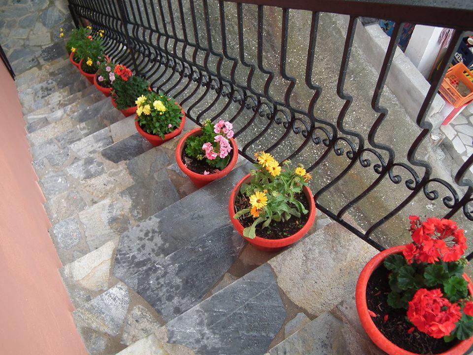 Eleni Antonouli Apartment